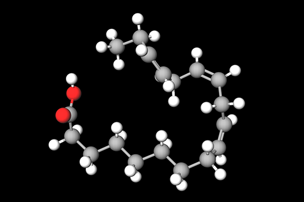 3D Model of Linolenic Acid
