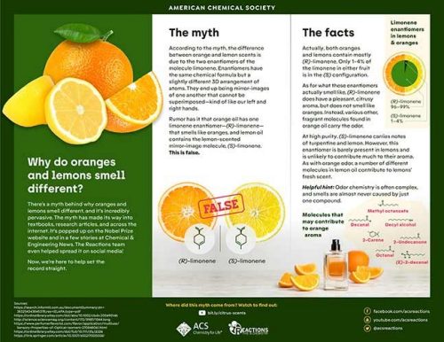 Why do oranges and lemons smell different?