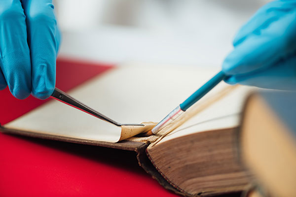 The secret to saving old books could be gluten-free glues image