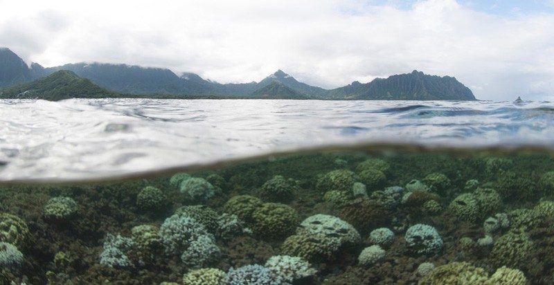  Kaneohe Bay in Hawaii Oceans