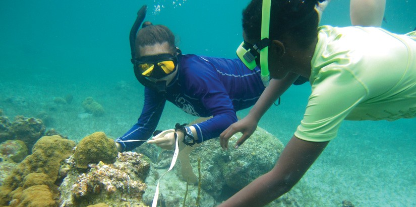 Students scuba diving