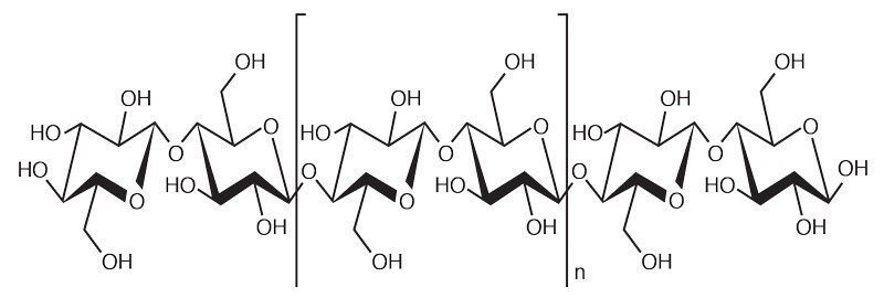 Molecular structure of cellulose