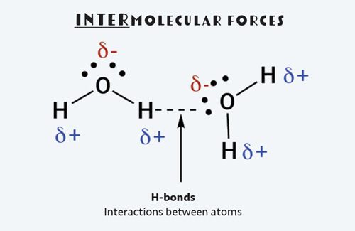 Intermolecular forces