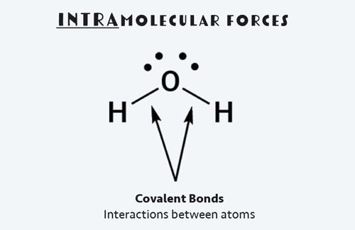 Intramolecular forces