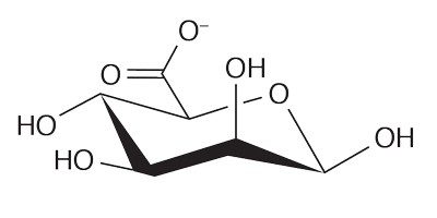 Molecular structure of β-D-mannuronate (M)