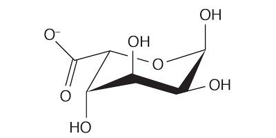 Molecular structure of α-L-guluronate (G)