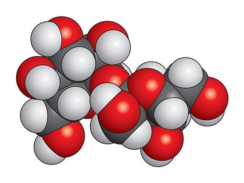 Space-filling model of a sucrose molecule