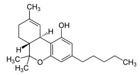 Molecular structure of THC