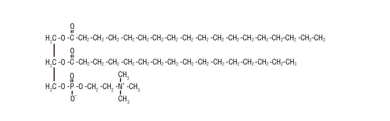 Chemical structure of a type of lecithin called phosphatidylcholine