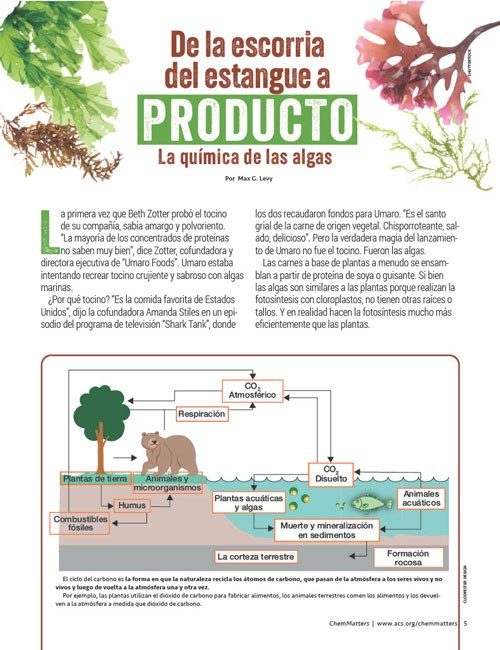 De La Escorria Del Estangue a Producto