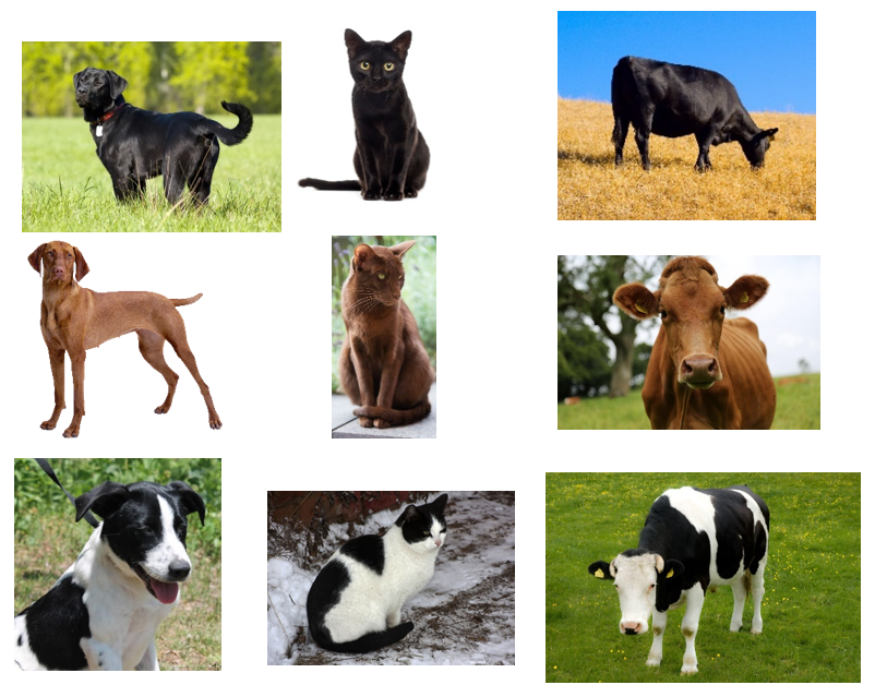 Photos of dogs, cats, and cows