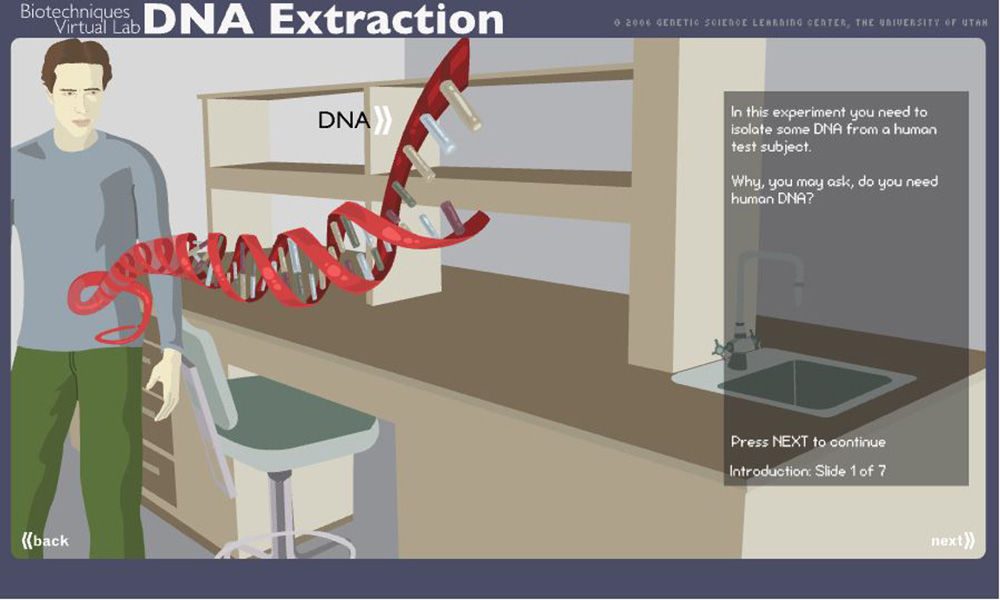 Virtual DNA Extraction simulation 