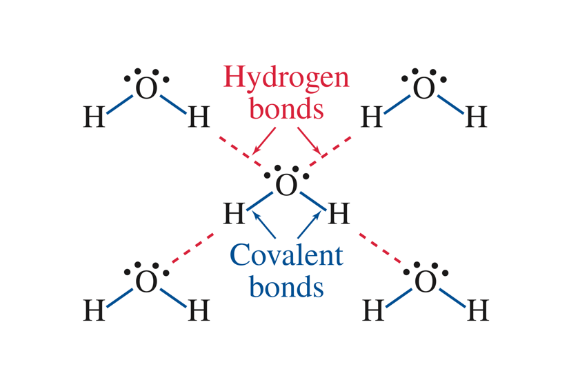 Hydrogen Bonding American Chemical Society