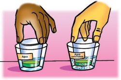 Placing small cups with indicator solution into a wider plastic cup with water and carbonated water