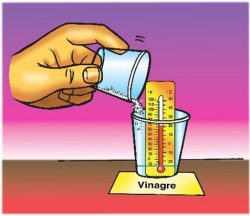 Hand adding baking soda into a cup of vinegar with a thermometor placed inside.