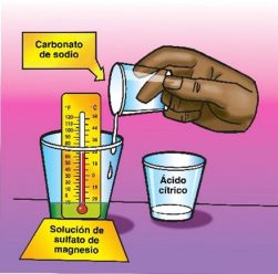 Adding sodium bicarbonate into a cup of magnesium sulfate solution with a thermometer placed inside.