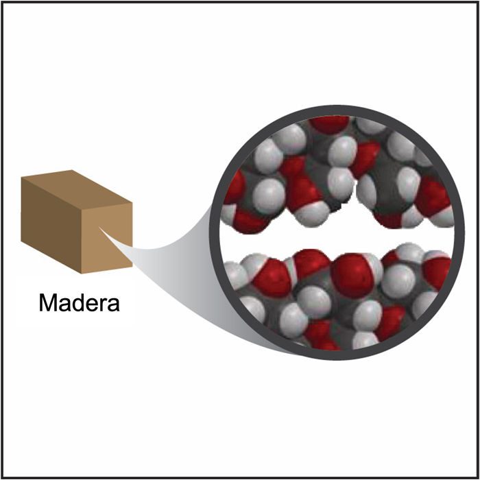 Molecules in wood