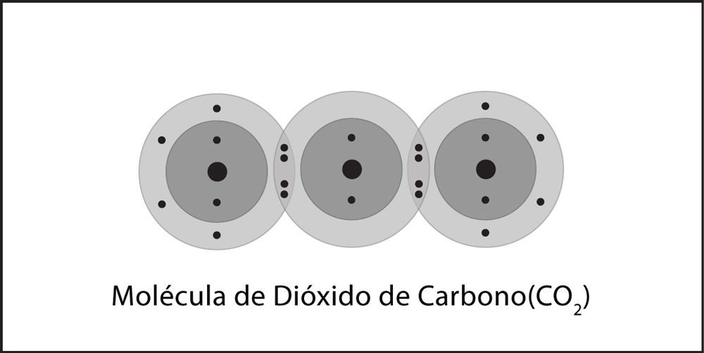 carbon dioxide molecule