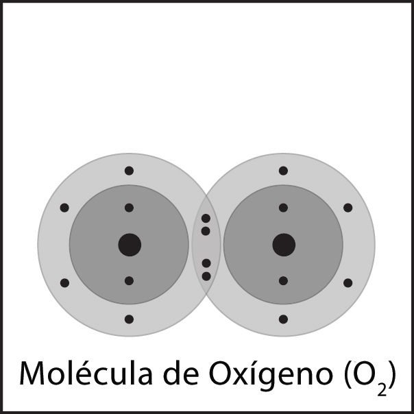 Oxygen molecule