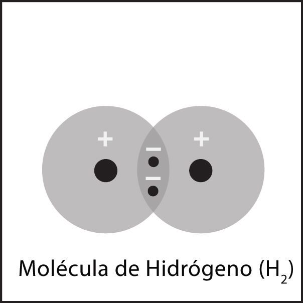 Hydrogen molecule