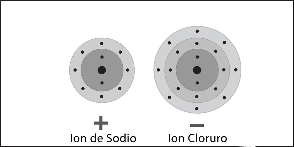 Sodium and chlorine ions