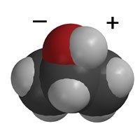 Alcohol molecule