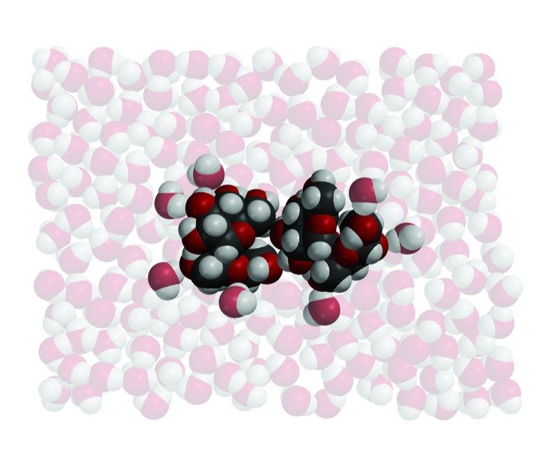 Water molecules surrounding sucrose molecule