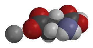 Monosodium Glutamate