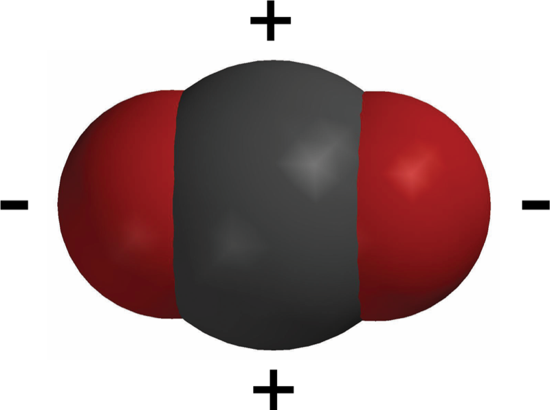 carbon dioxide molecule