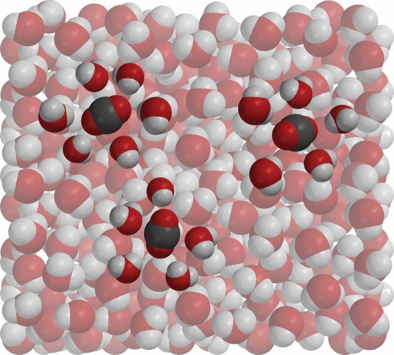 Carbon dioxide dissolved in water