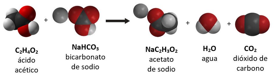 acidic acid reacting with sodium bicarbonate