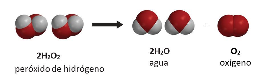 Decomposition of hydrogen peroxide