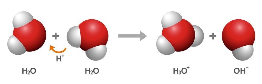 Water molecules exchange protons