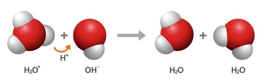 Water molecules exchange protons