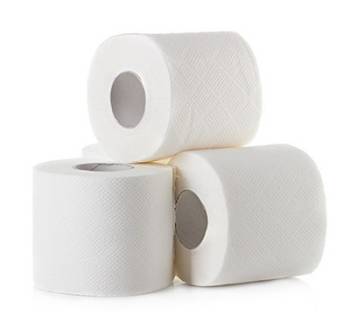 Toilet Paper Around The World Contains Harmful 'Forever Chemicals', Says  Study, toilet paper