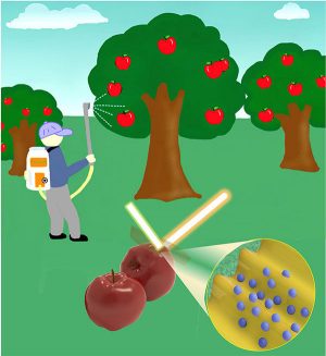 An illustration of an apple orchard with a person spraying chemicals from a backpack canister. Inset are a photo of apples and a representation of a wrinkled material covered in small particles.