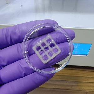 translucent gel printed in a grid pattern inside a glass dish on a gloved hand