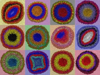 A colorful array of twelve squares, each containing multiple concentric circles made of dots. 