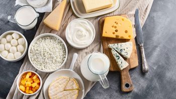 Milk, sour cream, yogurt, butter and multiple types of cheese in serving dishes on a table.