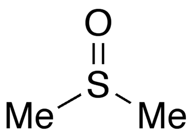 dimethyl sulfide dot structure