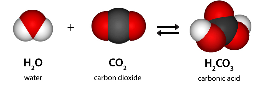 Simulations & Videos for Lesson 6.10: Carbon Dioxide Can Make a Solution  Acidic - American Chemical Society