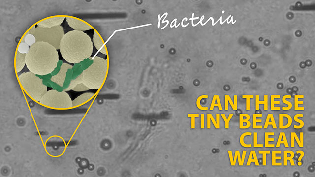 Water-cleaning beads grab microplastics and bacteria image